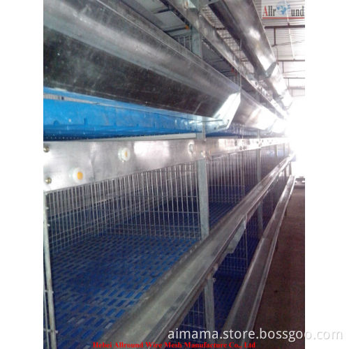 Pullet Chicken Rearing Cage